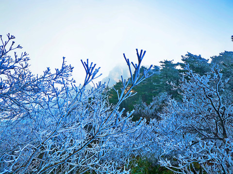 雪景
