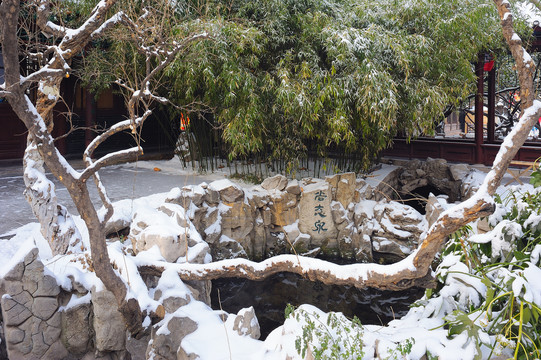 趵突泉公园雪景