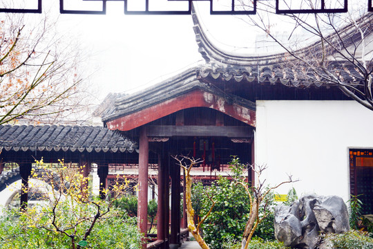 园林雨景