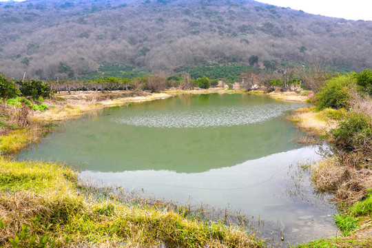 山里水塘