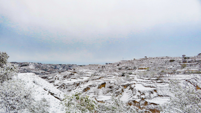 高原冬日雪景