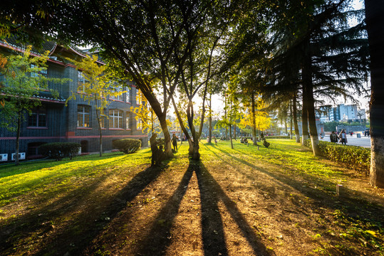 四川大学华西校园风光