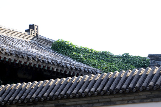 古建筑屋顶绿植