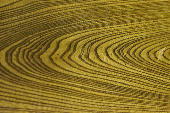 木纹素材