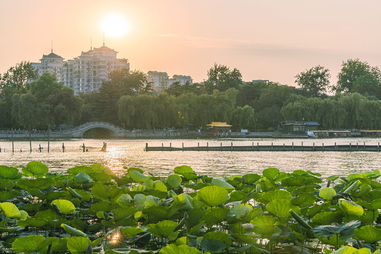 日落大明湖