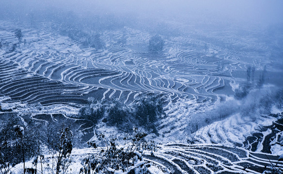 元阳梯田雪景