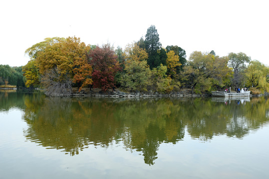 未名湖秋景