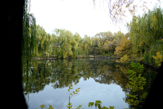 秋天小景