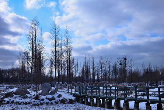 雪景