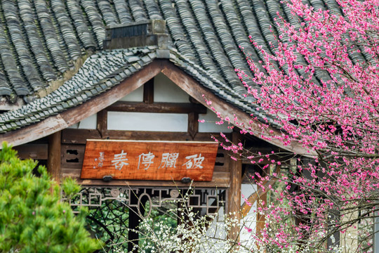 杭州植物园灵峰探梅的中式建筑