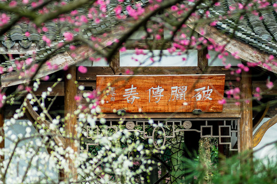 杭州植物园灵峰探梅的中式建筑
