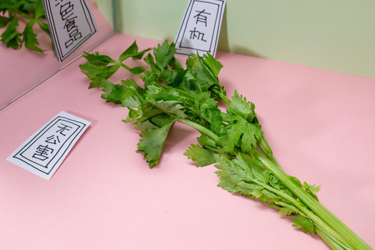芹菜