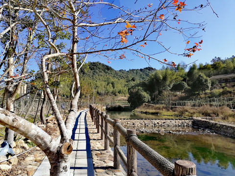 福州九峰村