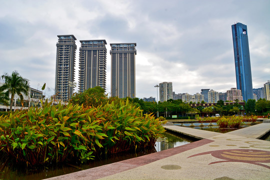 厦门海湾公园风景