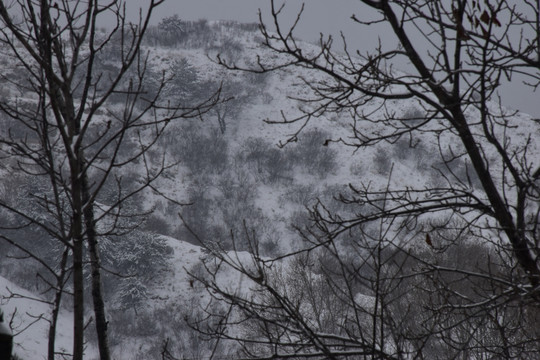 雪景如画