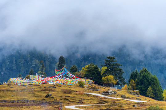 中国西藏林芝鲁朗扎西岗村秋景