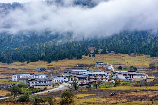 中国西藏林芝鲁朗扎西岗村秋景
