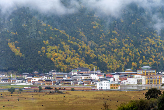 中国西藏林芝鲁朗扎西岗村秋景