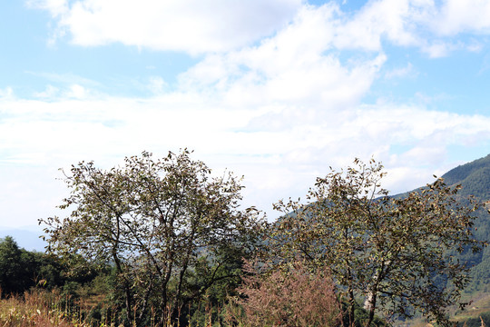 云南大理苍山
