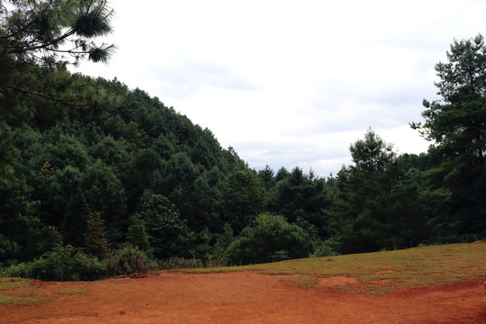 小空山