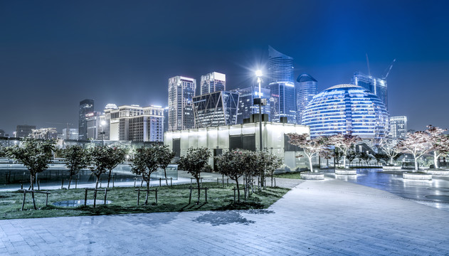 杭州金融中心夜景