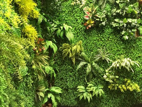 绿色植被墙