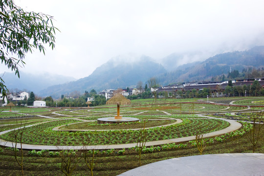 蔬菜种植基地