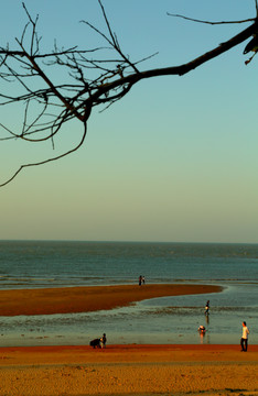 大海夕阳沙滩