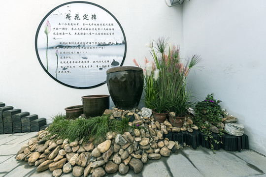 庭院小景