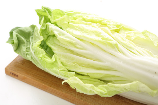 黄牙白菜