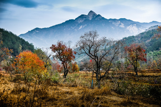 圣人堂远山