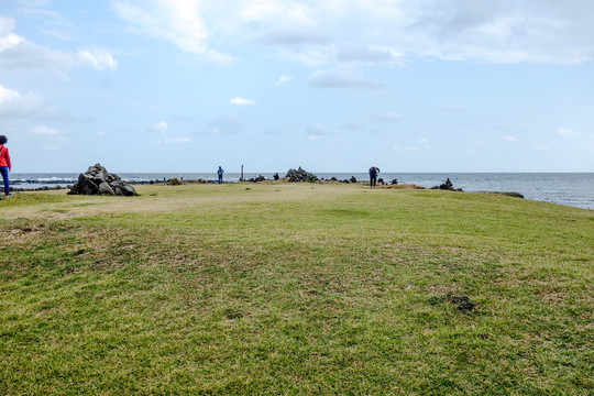 济州岛牛岛