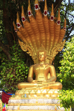 老挝西蒙寺佛像