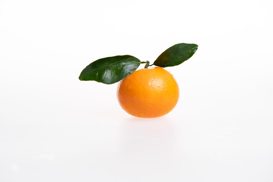 橘子沃柑