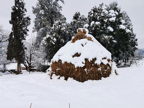 雪景