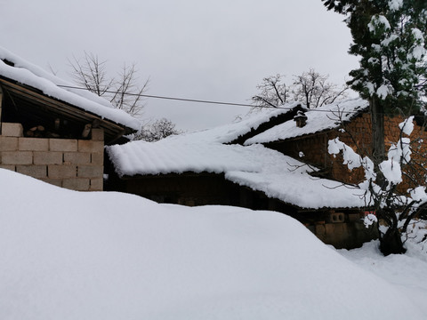 雪景