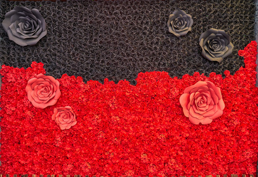 黑红玫瑰花背景墙