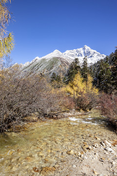 川西雪山毕棚沟秋色