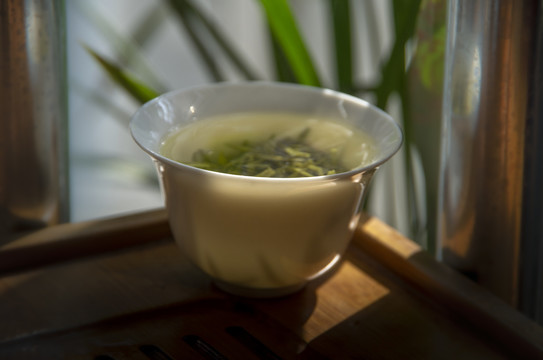 新茶