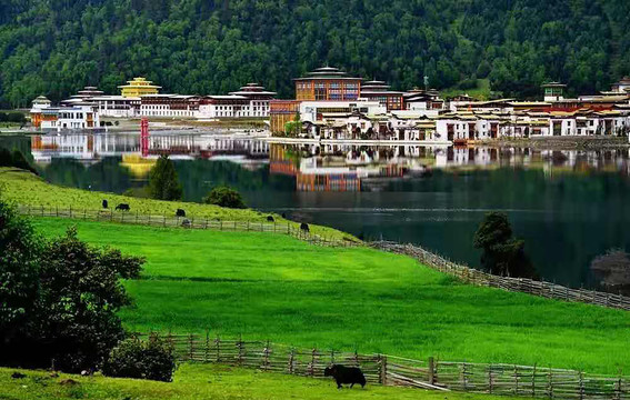 西藏林芝风景风光