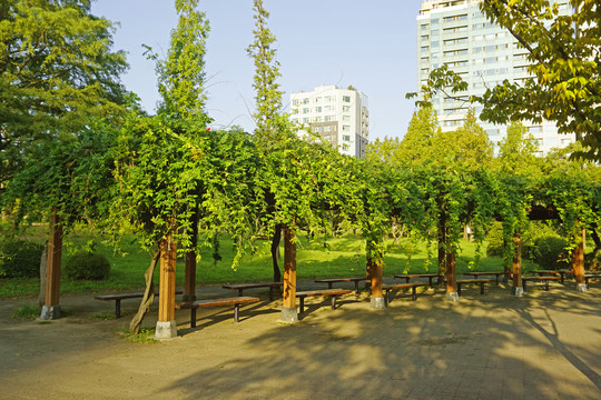 韩国城市公园园林建筑绿廊