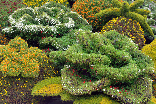 绿色盆栽立体花坛