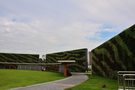 城市绿色植物墙