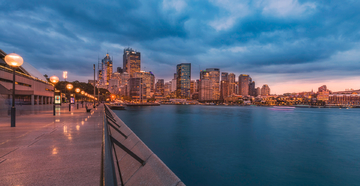 悉尼湾夜景