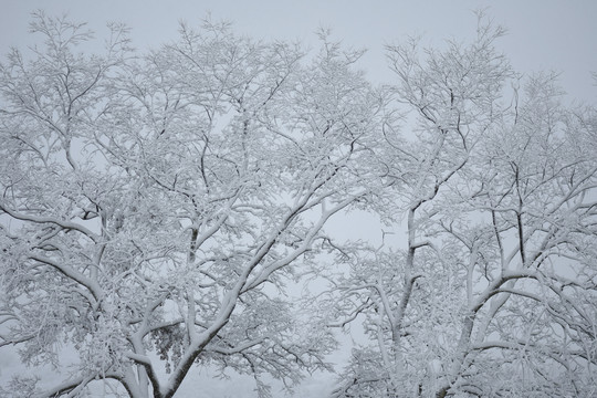 云南冰雪风光