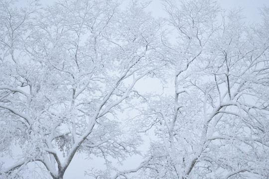 云南冰雪风光