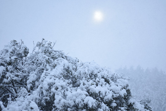 云南冰雪风光