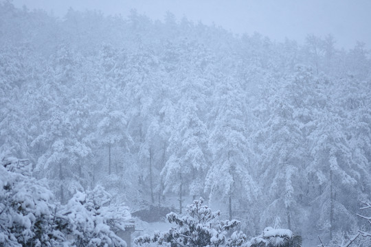 云南冰雪风光