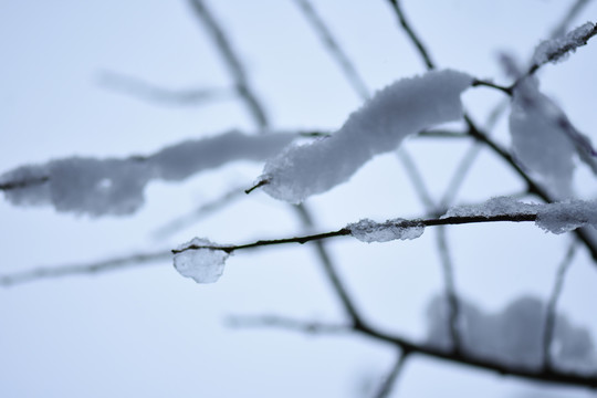 云南冰雪风光