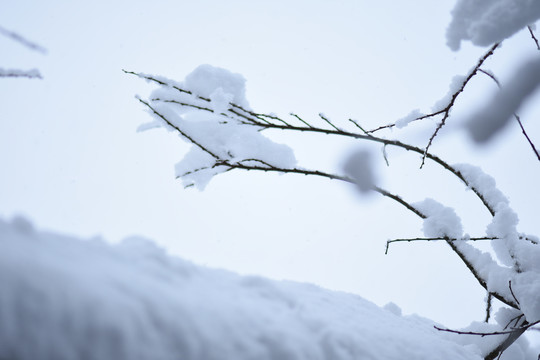 云南冰雪风光